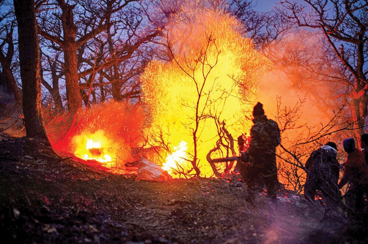 چقدر از جنگل های الیت در آتش سوخت؟