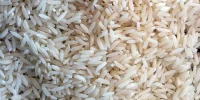 تقابل بازار برنج: قیمت جهانی کاهشی، قیمت داخلی تحت سلطه دلالان