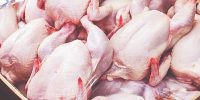 راز نوسانات بازار مرغ و گوشت چیست؟