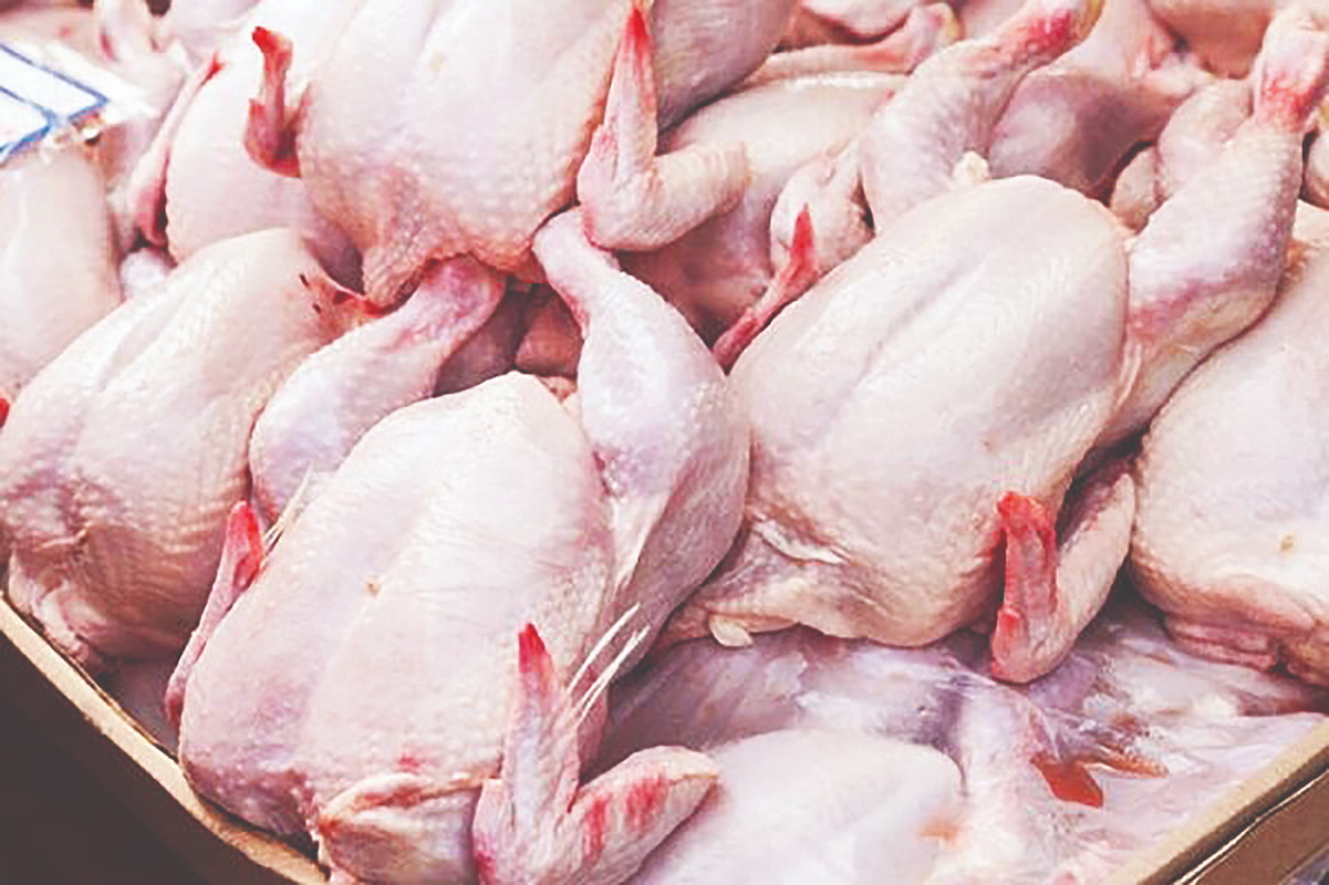 راز نوسانات بازار مرغ و گوشت چیست؟