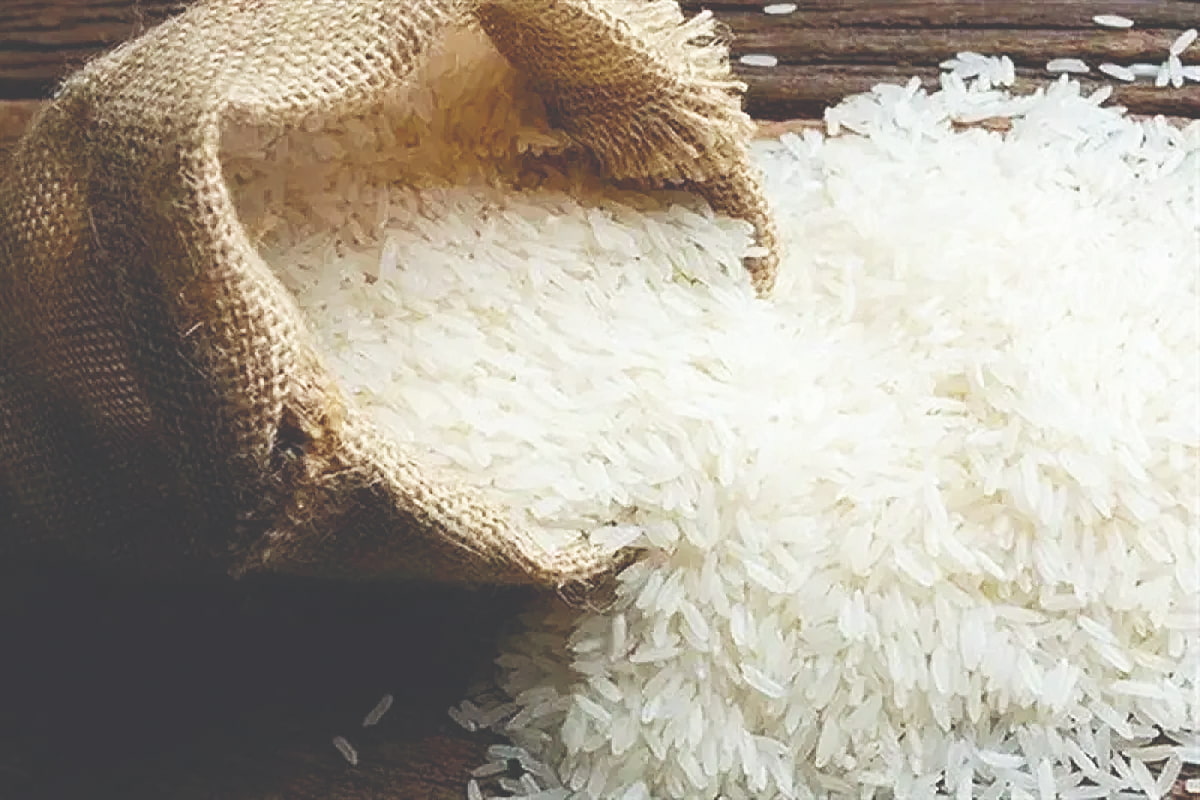 زمستان پرالتهاب پیش‌روی بازار برنج