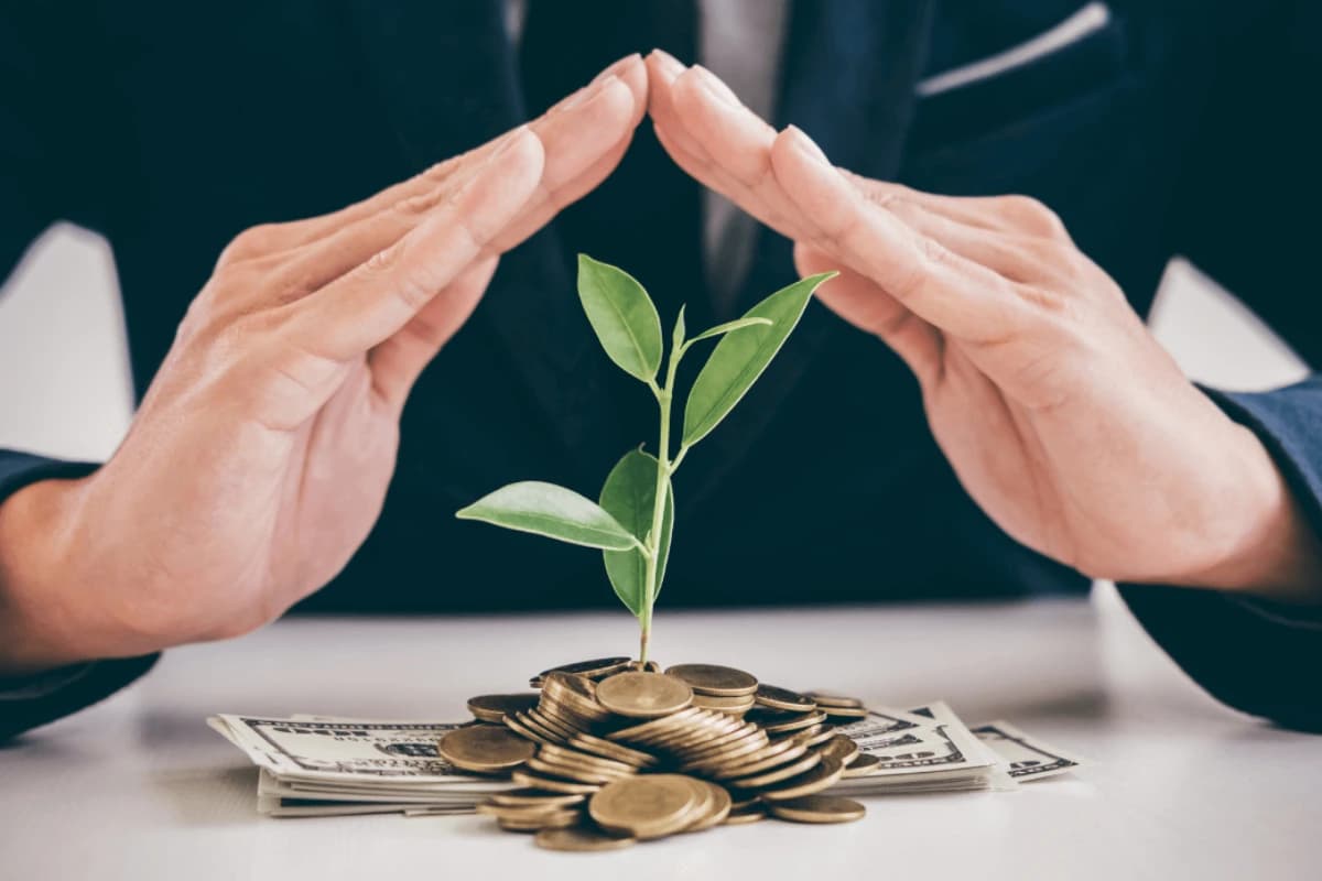 سرمایه‌های بربادرفته