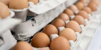 بازار تخممرغ تحت فشار نهادهها؛ آینده چه خواهد شد؟ بازار تخممرغ تحت فشار نهادهها؛ آینده چه خواهد شد؟