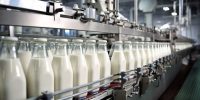 پرش قیمت شیرخام به ۳۹ هزار تومان؛ لبنیات به کالای گران چهاره می‌شود؟