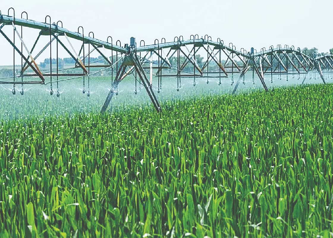 ضرورت حرکت به‌سمت کشاورزی دانش بنیان