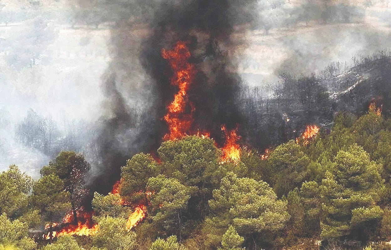 عامل آتش‌سوزی جنگل‌های هیرکانی دستگیر شد
