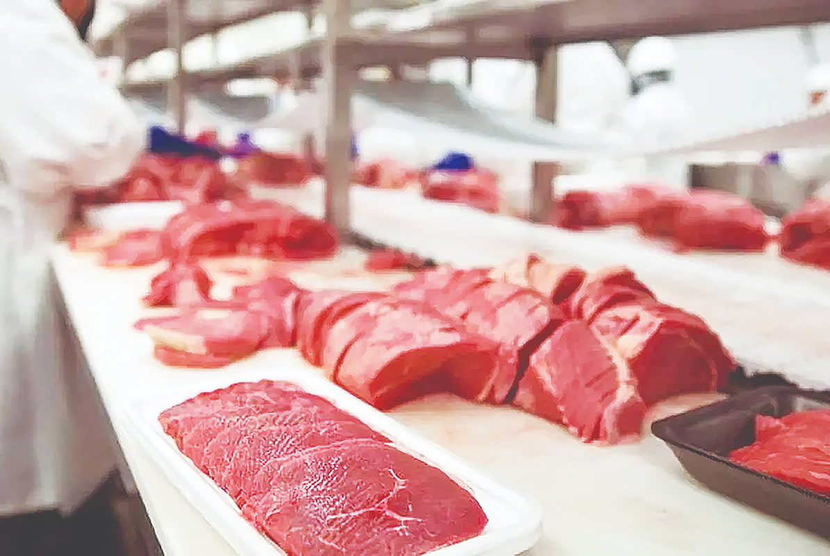 علت نوسان قیمت بازار گوشت چیست؟