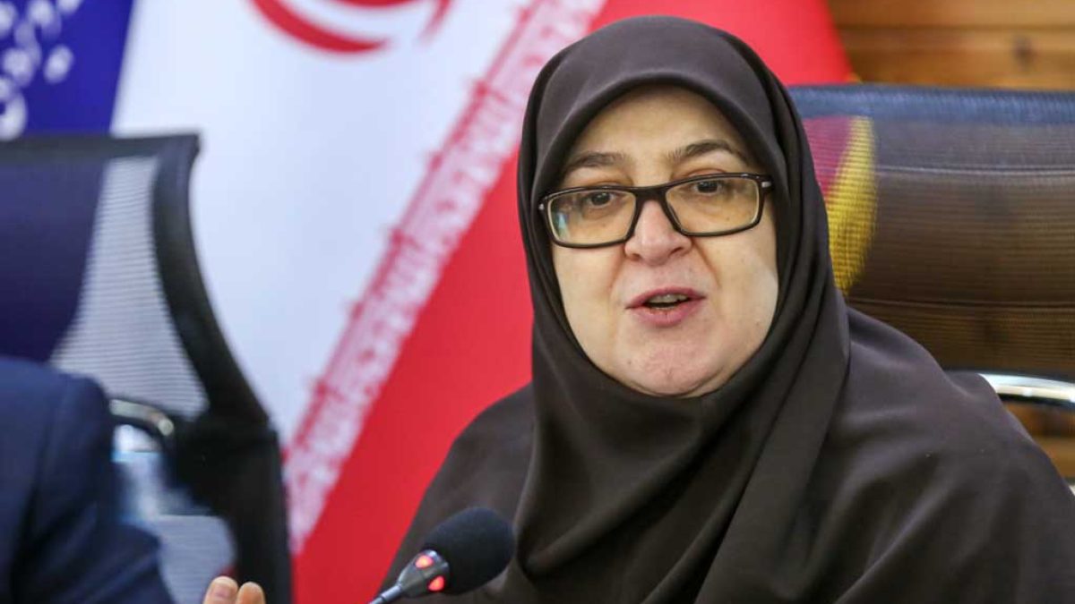 سخنگوی دولت از راه‌اندازی سامانه رصد بیکاری برای پایش و هدایت اشتغال خبر داد