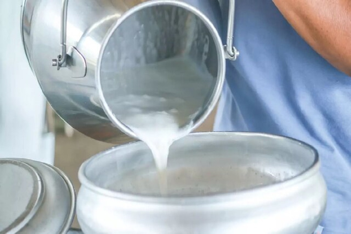 نوسان روزمره قیمت‌ها؛ لبنیات دوباره در مسیر افزایش قرار گرفت