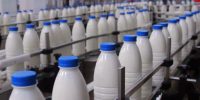 لبنیات باز هم گران شد؛ شیر کم‌چرب از ۳۷ هزار به ۴۲ هزار تومان رسید