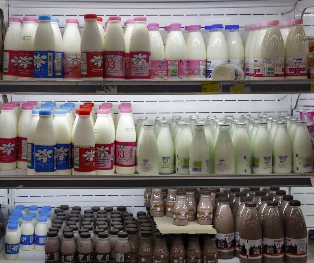 افزایش هزینه نهاده‌ها و خشکسالی؛ علت اصلی گرانی لبنیات و شیر خام