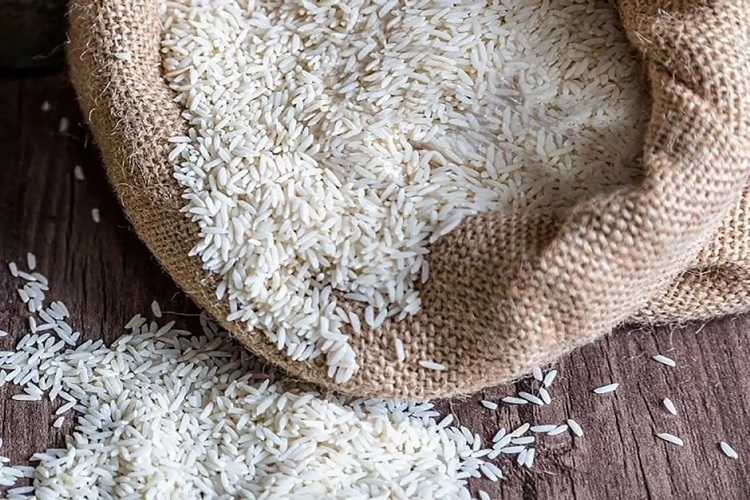 ارز ترجیحی برای مردم کار نکرد، سود در جیب واسطه‌ها ماند