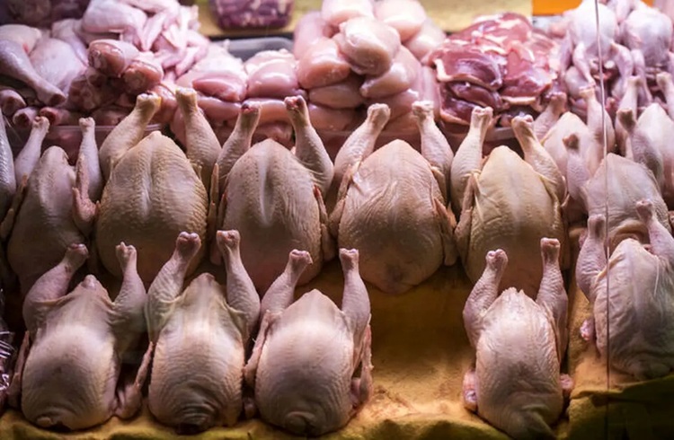 مرغ ارزان شد؛ فیله و ران کیلویی چند شد؟