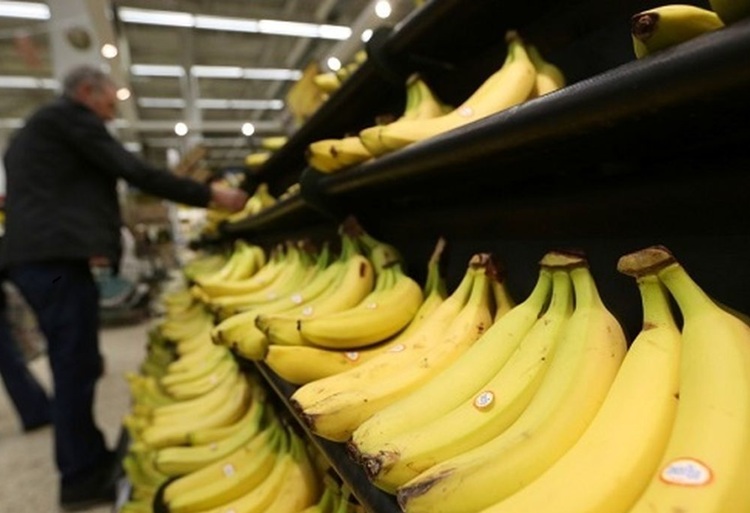 منتظر ارزانی قیمت گوجه فرنگی باشیم؟؛ پیش‌بینی رئیس اتحادیه