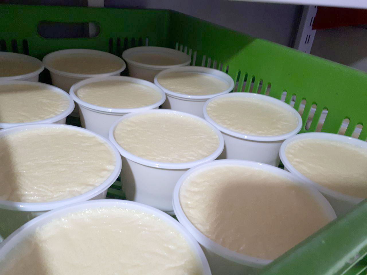 تاکید بر ممنوعیت استفاده دوباره از ظروف نازک؛ سلامت غذایی در خطر است