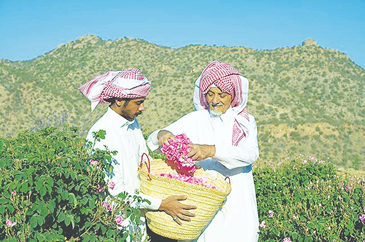 ماجرای خبر «ثبت گل‌محمدی به‌نام عربستان» چیست؟