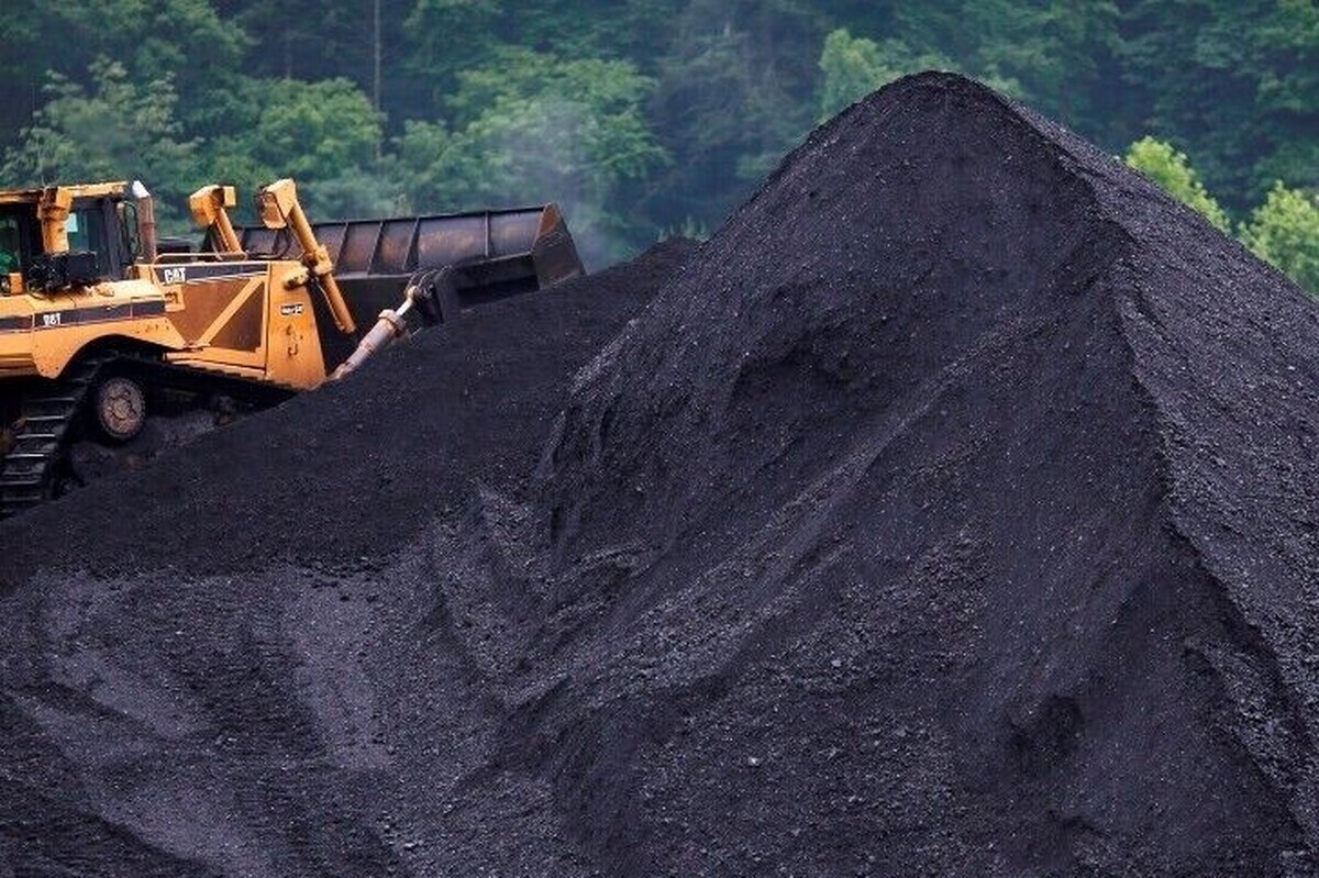 مافیای اقتصادی پشت‌پرده واردات زغال‌سنگ