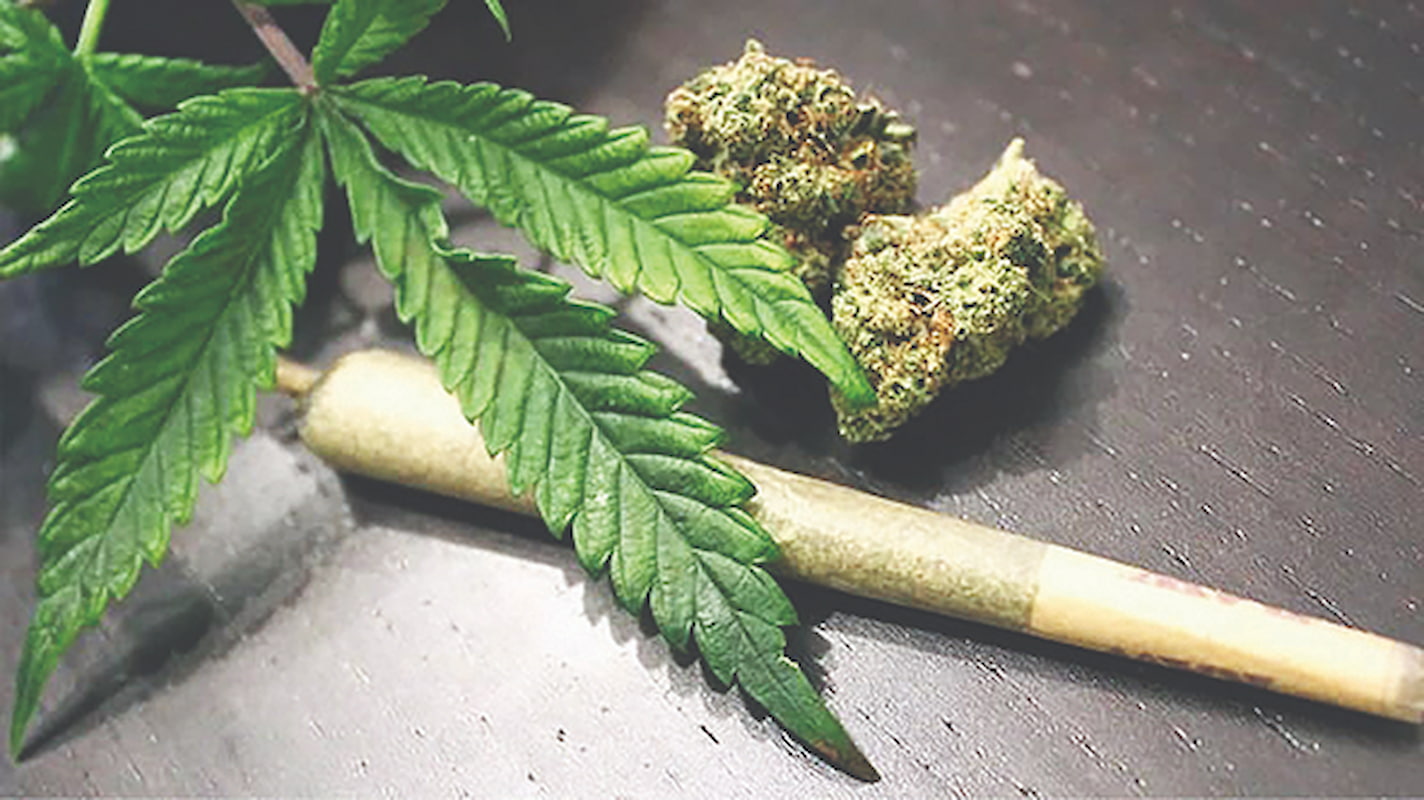 مخدر گل موجود در ایران با قارچ و کپک  مخلوط شده است