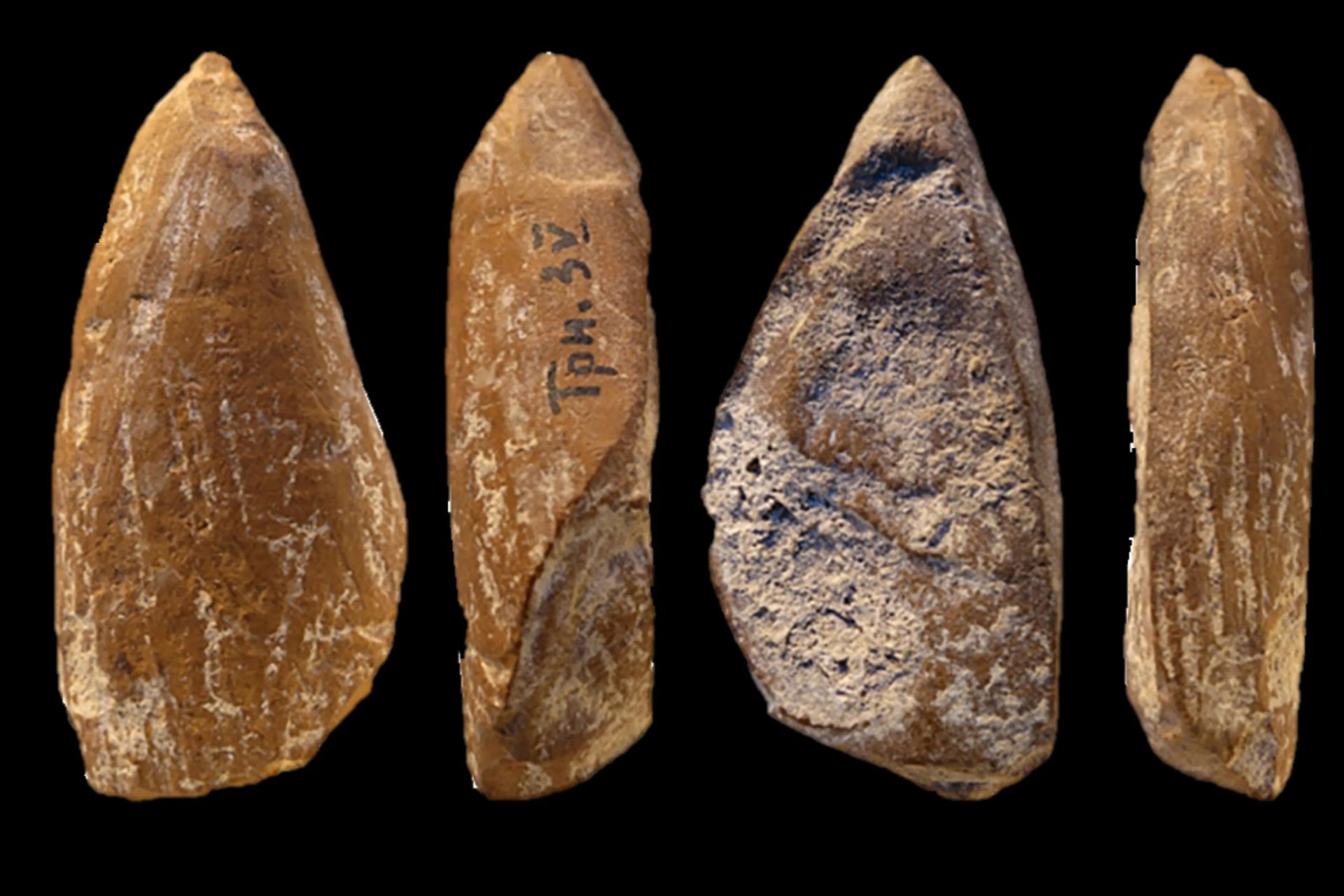 مداد شمعی نئاندرتال‌ها در کریمه؛ آیا پیش از انسان مدرن خلاقیت داشتند؟