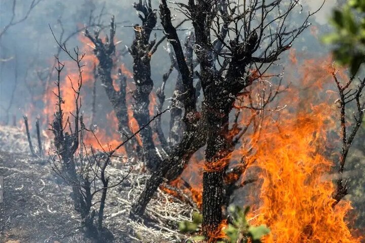 تشکیل ستاد مدیریت بحران کشور در الیت مازندران برای مقابله با آتش سوزی