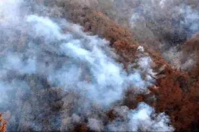 تلاش‌های گسترده برای مهار آتش‌سوزی در الیت: باد شدید شعله‌ها را دوباره زنده کرد