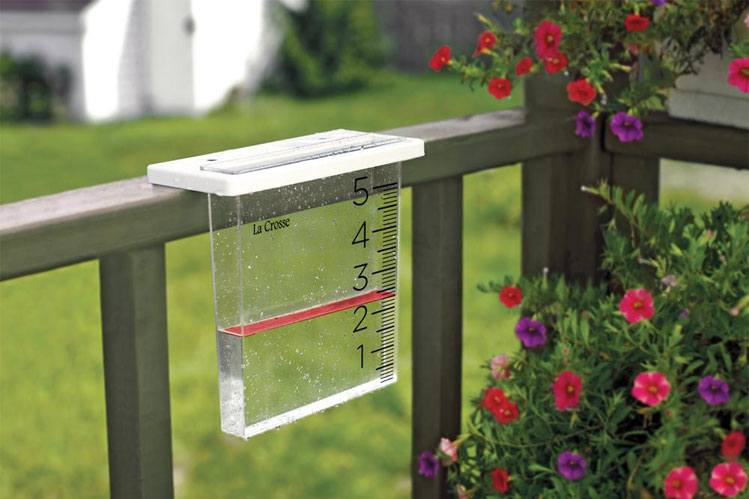 سال آبی گذشته پنجمین سال خشک ایران / کاهش ۴۰ درصدی بارندگی‌ها