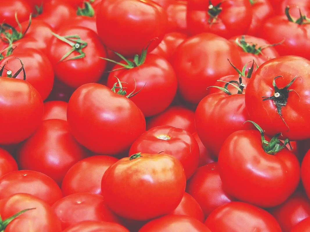 پشت پرده افزایش قیمت گوجه‌فرنگی