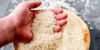 افزایش قیمت برنج ایرانی: کم‌آبی، تورم و تغییرات بازار