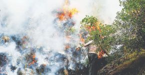 چرا یونسکو در مهار آتش هیرکانی به ایران کمک نکرد؟ چرا یونسکو در مهار آتش هیرکانی به ایران کمک نکرد؟