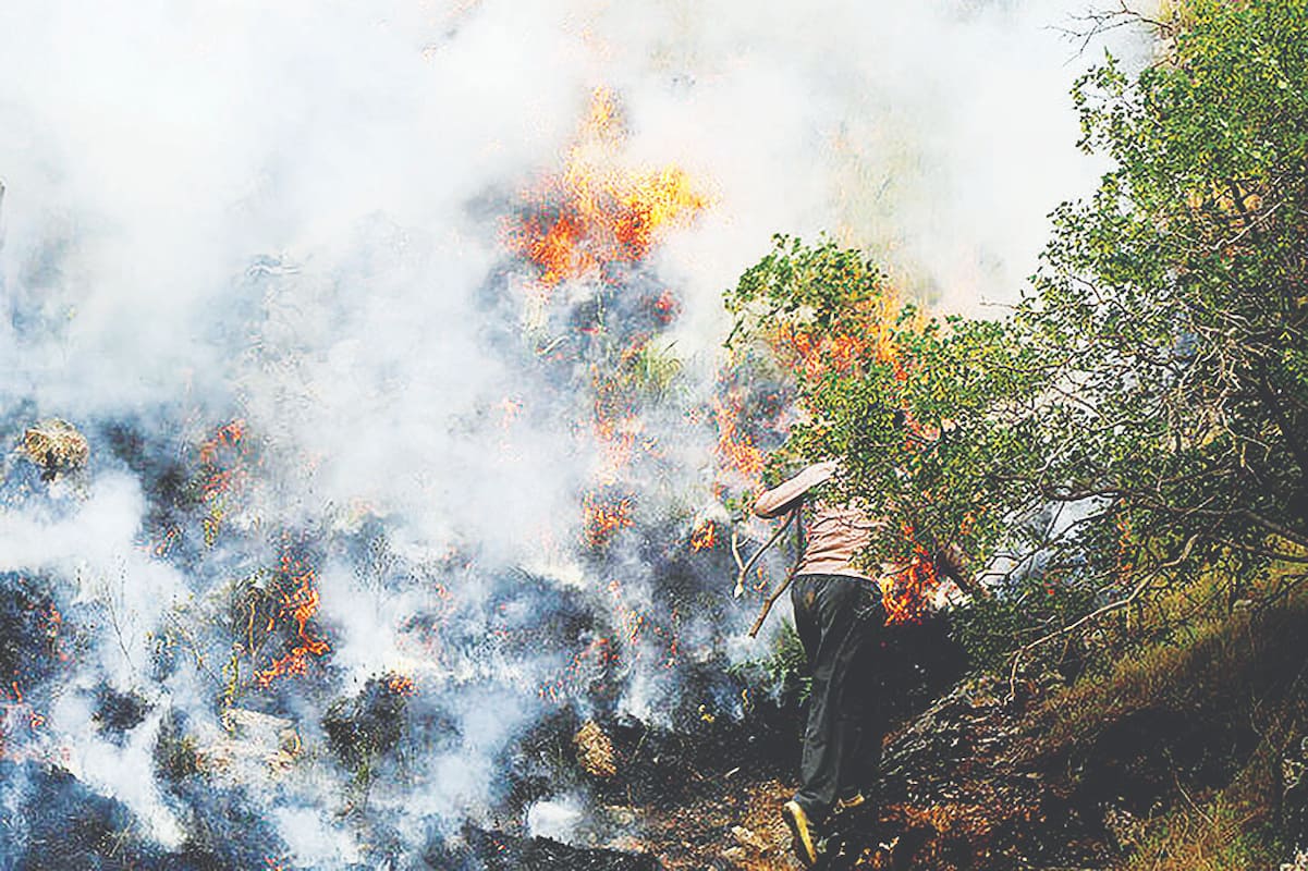 چرا یونسکو در مهار آتش هیرکانی به ایران کمک نکرد؟