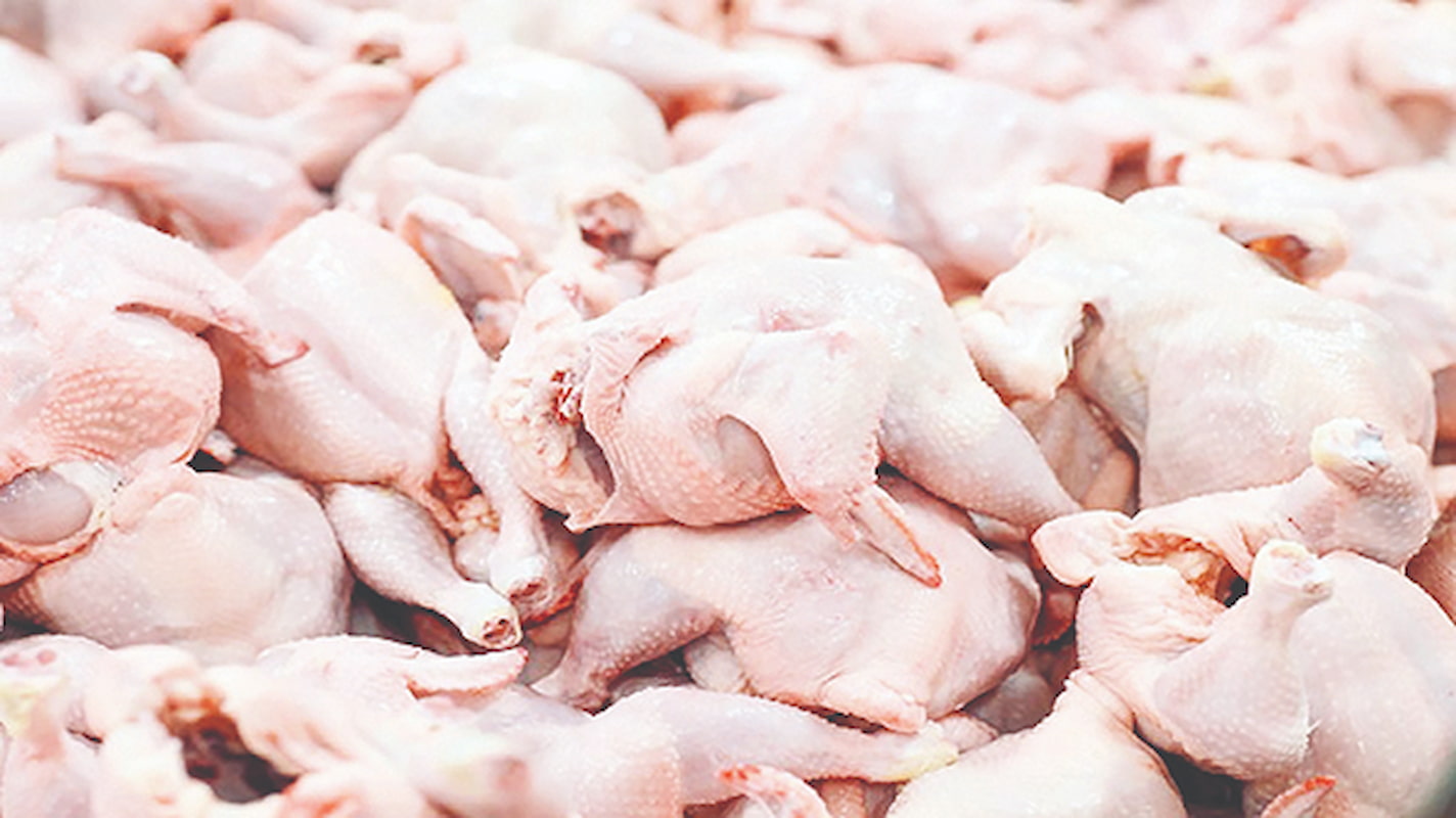 کاهش عرضه گوشت طیور در مهرماه