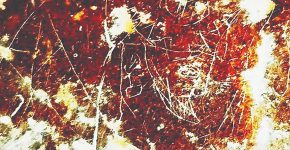 کشف نگاره باستانی در مرودشت