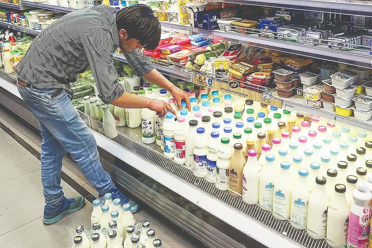 گرانی علوفه و افت تولید