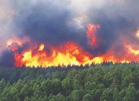 گنجینه ملی درآتش