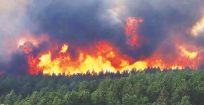 گنجینه ملی درآتش