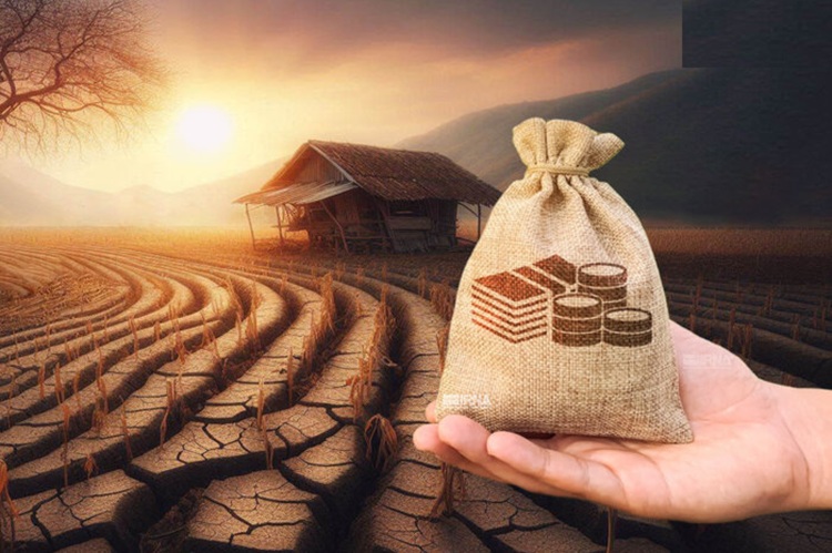 یارانه بیمه گندم پرداخت نشد؛ کشاورزان همچنان در بلاتکلیفی