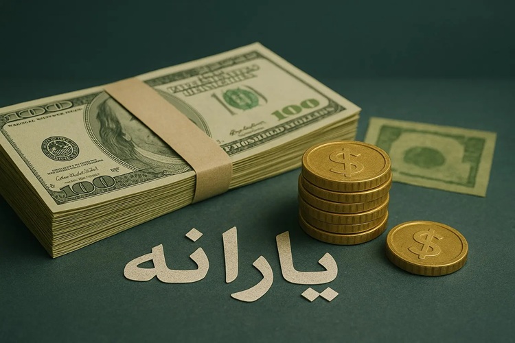 ارزش یارانه نقدی با سقوط ۹۱ درصدی از ۴۳ دلار به ۳.۵ دلار رسید