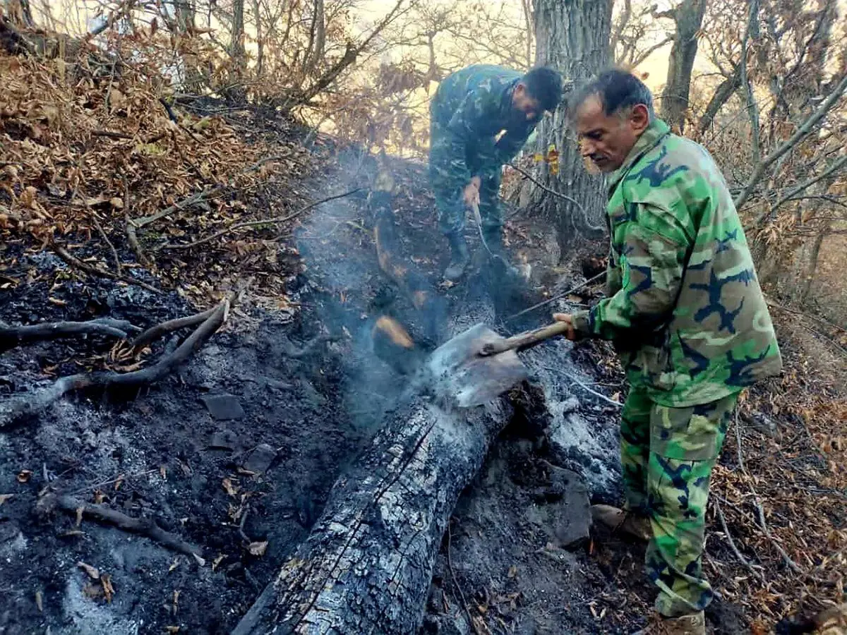 آتش‌سوزی جنگل‌های الیت: نقش انسان در بروز و خاموش کردن آتش