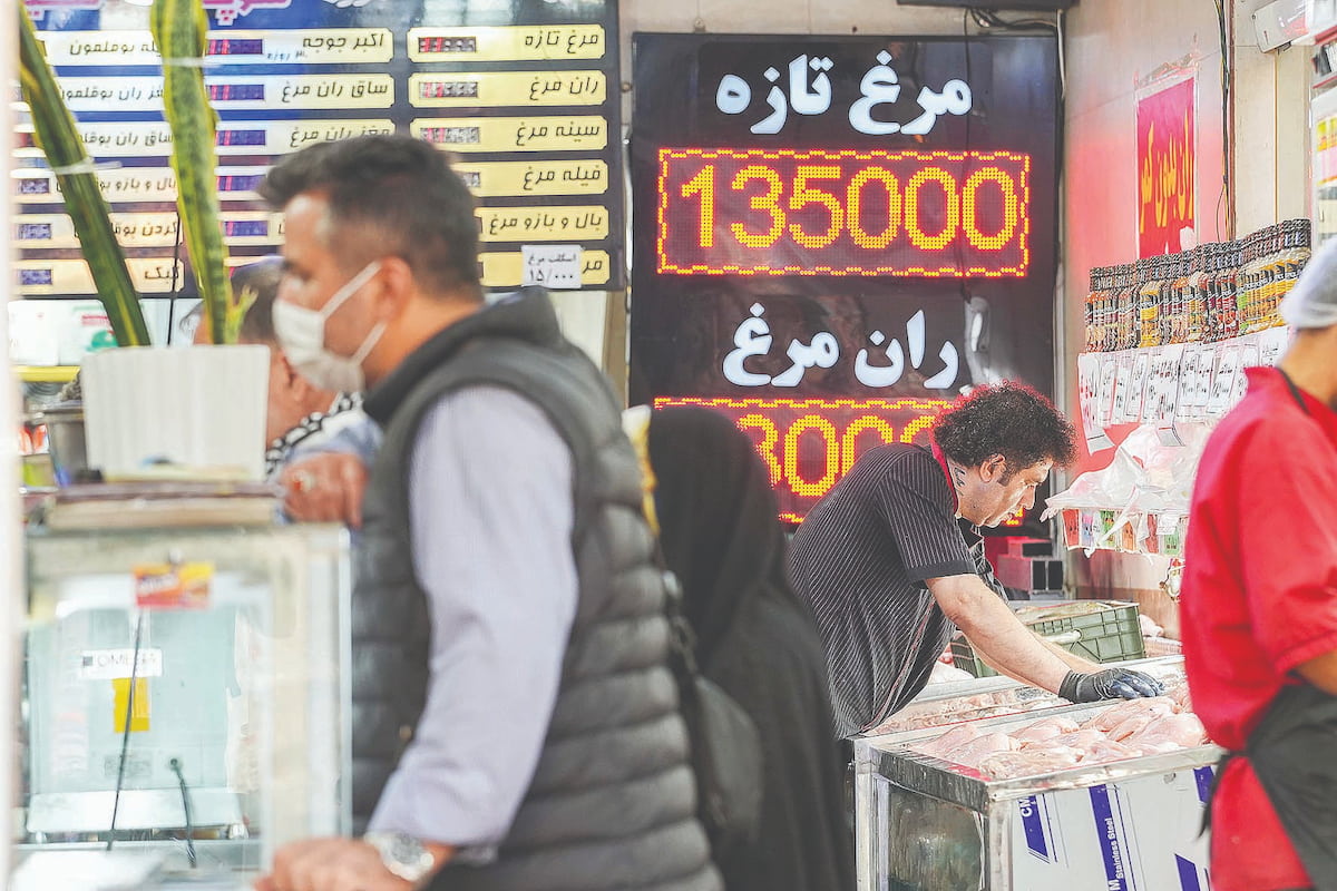 آشفته بازار مرغ