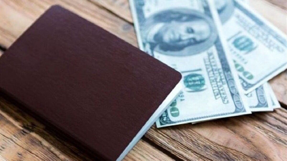 چرا مسافران باید از سامانه رسمی برای ارز مسافرتی اقدام کنند؟