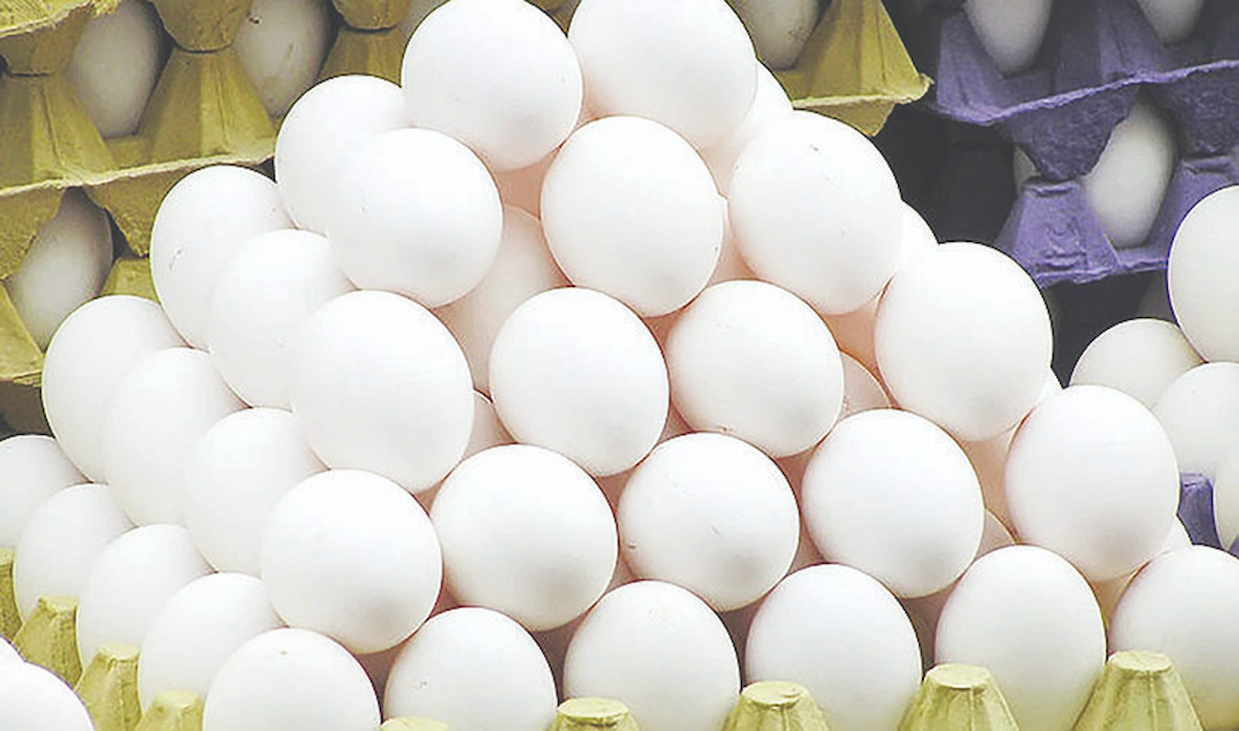 اما و اگرهای افزایش قیمت تخم‌مرغ