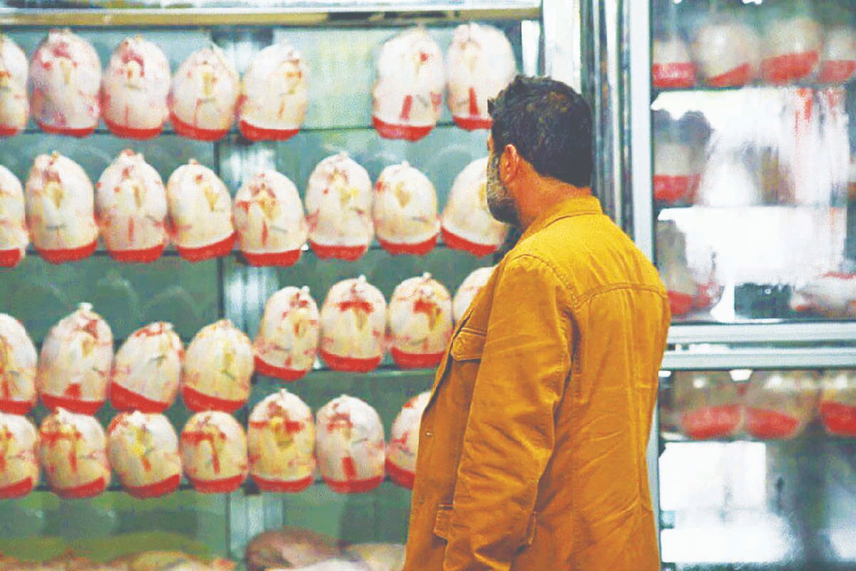 اوج‌گرفتن قیمت مرغ در بازار