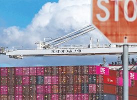 اوج‌گیری دلار بی‌مهار