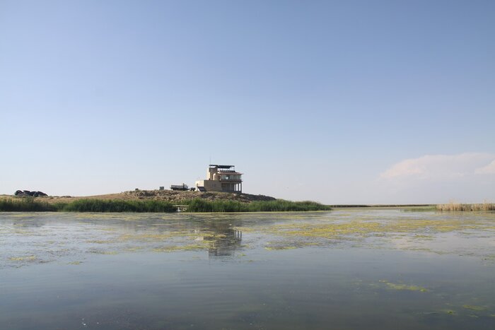 بارش‌های اخیر، حیات دوباره به تالاب کانی‌برازان مهاباد بخشید