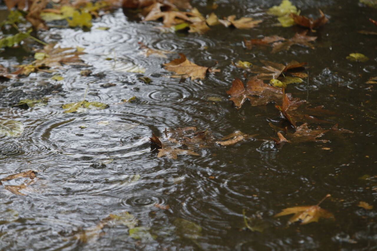 سازمان هواشناسی از مردم خواست از حاشیه مسیل‌ها دوری کنند