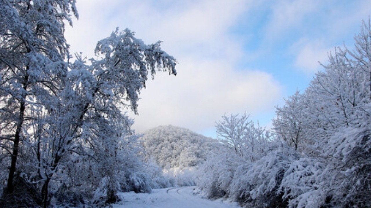 هشدار سازمان هواشناسی: باران، برف و تگرگ کشاورزان را تهدید می‌کند