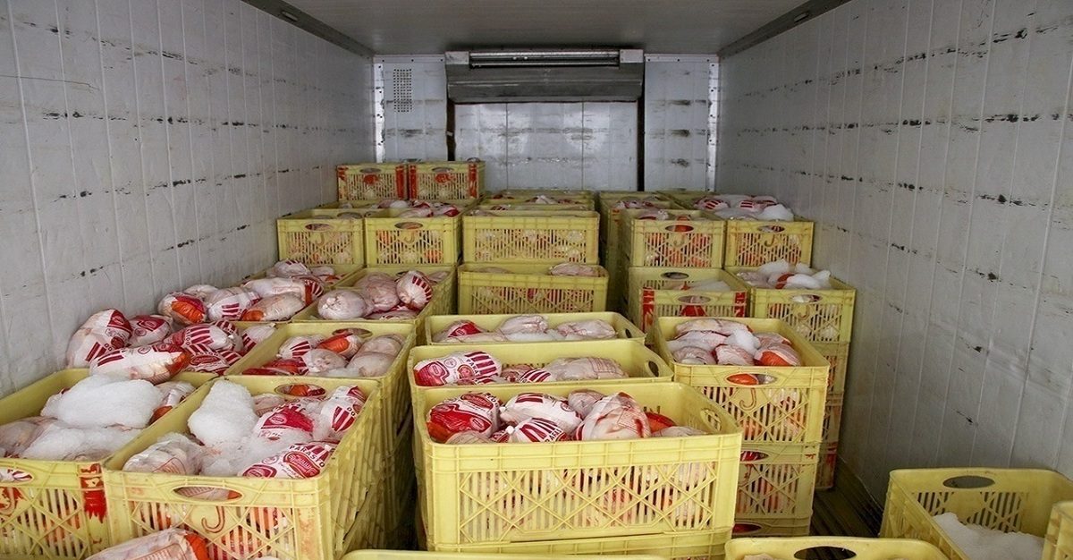 بازار مرغ در آذر ۱۴۰۴؛ وقتی تولید با کمبود نهاده و زیان جدی روبه‌روست