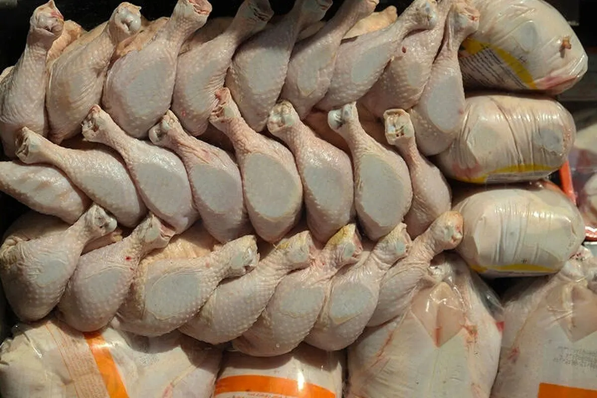 مرغداران هشدار دادند: گرانی شدید در راه است