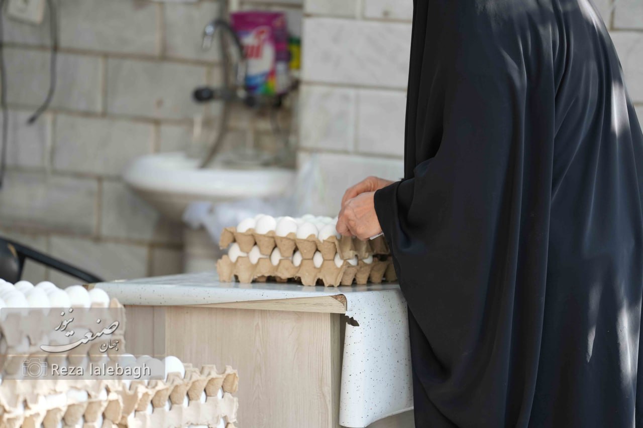 کشمکش بین عرضه و تقاضا: نایاب شدن تخم‌مرغ با قیمت ۳۰۰ هزارتومان