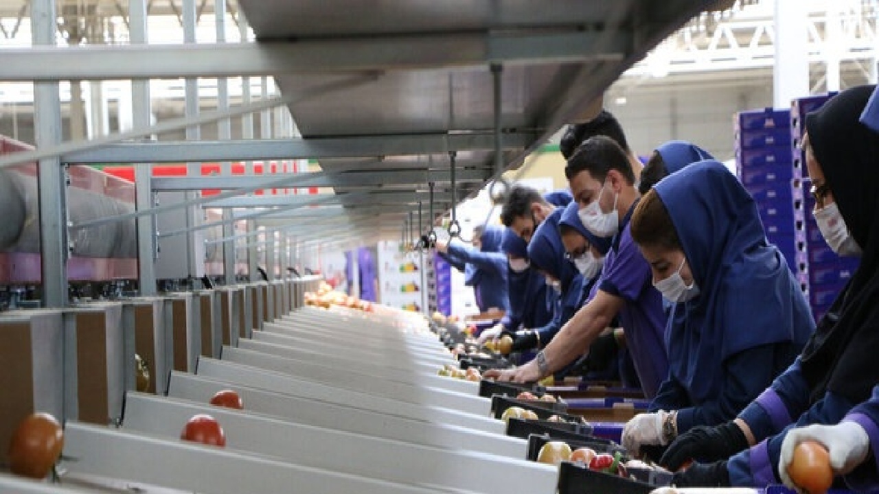 روایت جدید از بازار کار ایران؛ زمانی که مزد پایین دیگر مزیت نیست